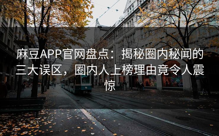 麻豆APP官网盘点：揭秘圈内秘闻的三大误区，圈内人上榜理由竟令人震惊