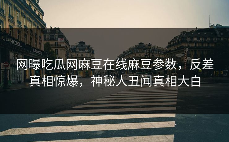 网曝吃瓜网麻豆在线麻豆参数，反差真相惊爆，神秘人丑闻真相大白