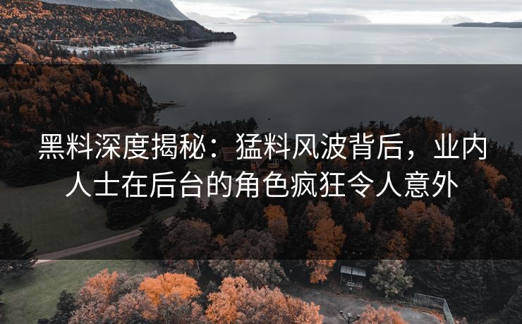 黑料深度揭秘：猛料风波背后，业内人士在后台的角色疯狂令人意外