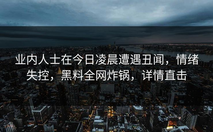 业内人士在今日凌晨遭遇丑闻，情绪失控，黑料全网炸锅，详情直击